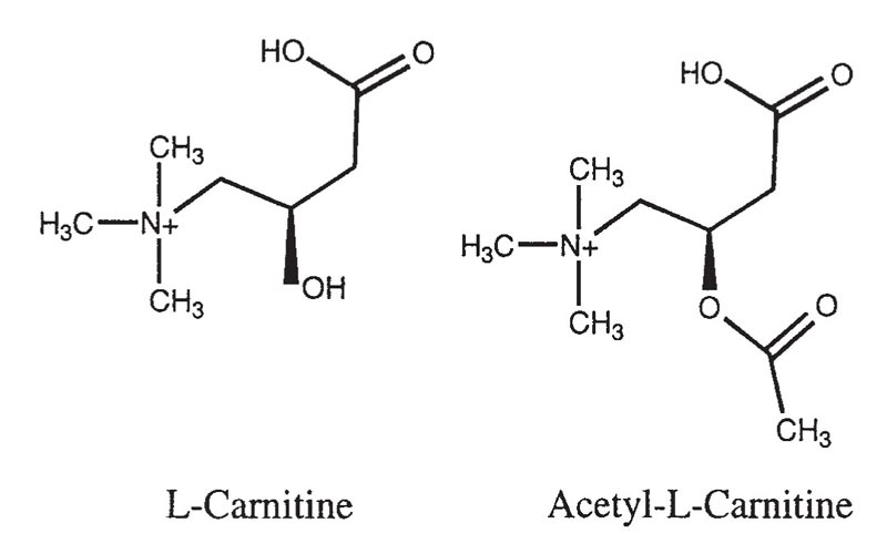 l-karnitino formos