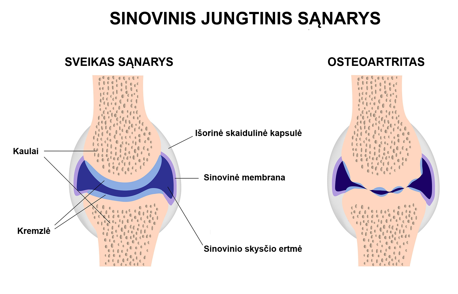 sanario_struktura_lietuviskai