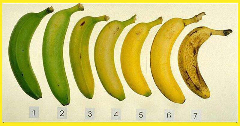sunoke ir nesunoke bananai