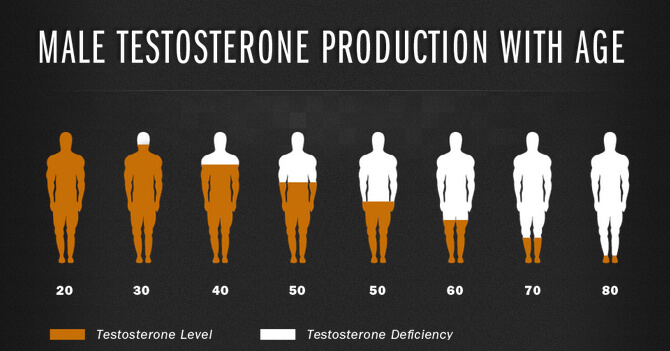 Testosteronas: 4 efektyvios medžiagos jam pakelti