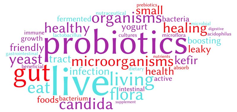 probiotikai kas tai