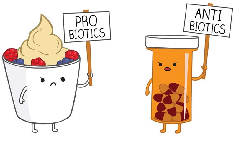 probiotikai po antibiotiku vartojimo