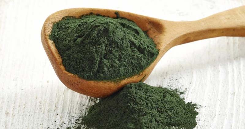 spirulina kas tai