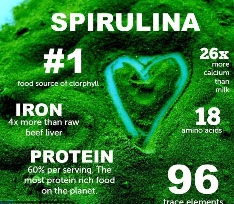 spirulinoje gausu vitaminu ir mineralu