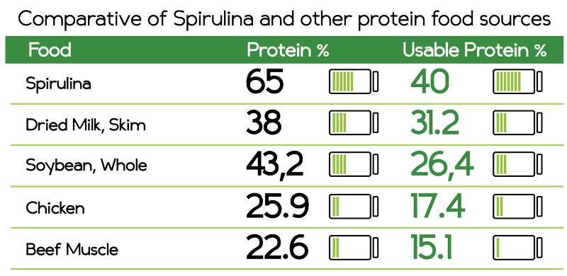 spirulinoje melsvadumbliuose gausu baltymu