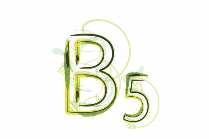 vitaminas b5