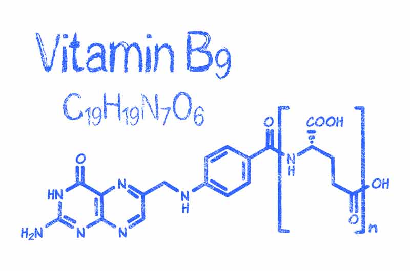 vitaminas b9