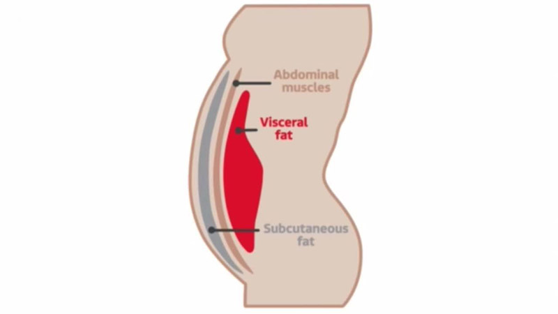 visceraliniai riebalai