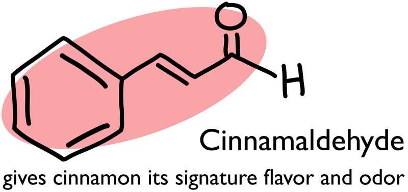 cinamonas cinamaldehidas