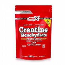 Amix Kreatino monohidratas (Creatine Monohydrate) 250 g DOYPACK 