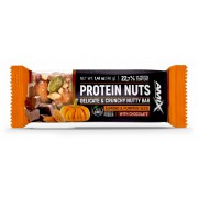 Amix Protein Nuts 40 g.